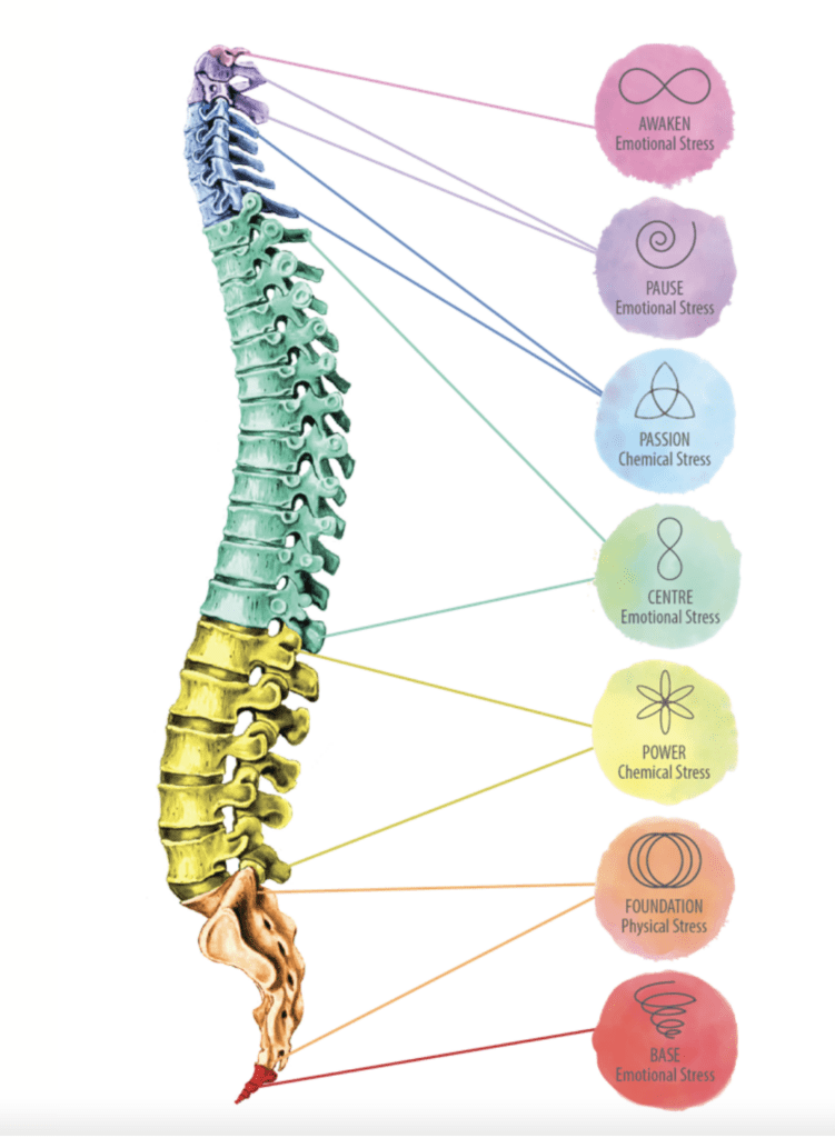 spinal flow