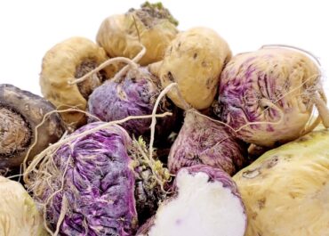 Maca Superfood: Boosting Health and Wellness Naturally